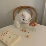 mの画像