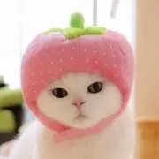 minmin⭐︎の画像