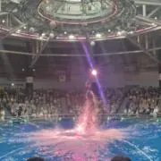 ミレニアムの画像