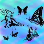 blueberryの画像