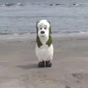 ミシシッピの画像