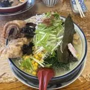 カテーテルボーイ