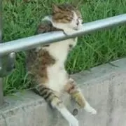 あき【お休みします】