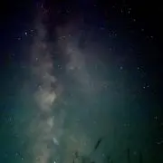 こいやんの画像