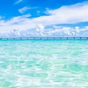 umioの画像