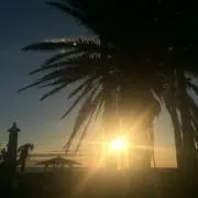 Paradiseの画像