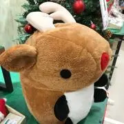 hide