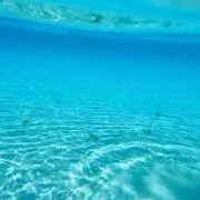 自己紹介文お読みください！！の画像