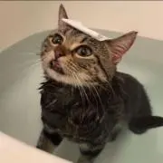 みるちゃん⭐︎の画像