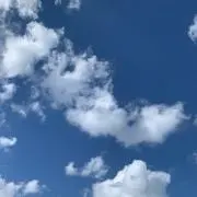 ひな