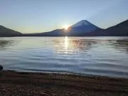 はなパパ