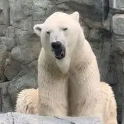 やぁ