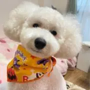 光一の画像