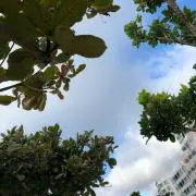 Wwdmpppの画像