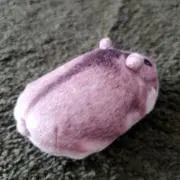 miyukiの画像