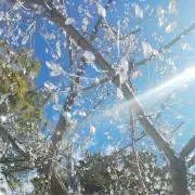 そら（プロフ読んでね♪）の画像