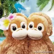 coconatu　プロフ必読 ❣の画像