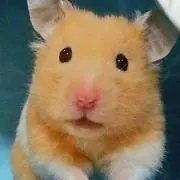 tdmiの画像