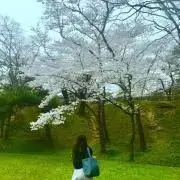 すずの画像