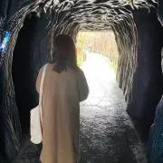 もえごんの画像