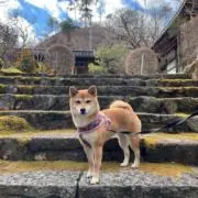 ばるくんの画像