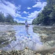 よーぐるとの画像