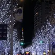 ポラリスの画像