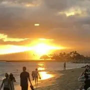 Haruの画像