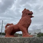 ニコニコの画像