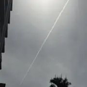 りん　断捨離中の画像