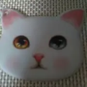 みぃちゃん