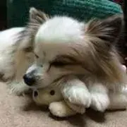 TOMOJOE✨フォロー割あります♪の画像