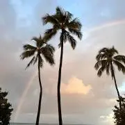 瑠璃♡の画像