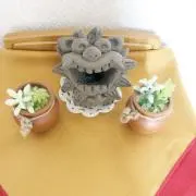 kakaの画像
