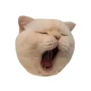 つきの画像