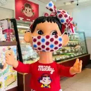 ペコの画像