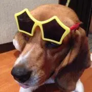 まーりー