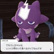 ささきの画像