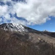 タコピーの画像