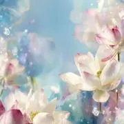 あめだま✨コメントでセール開催中✨の画像