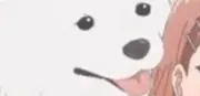 kの画像