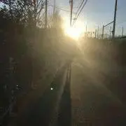 まろんの画像