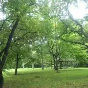 かずの画像