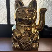 ターボーの画像