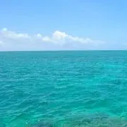 羽根 εïзの画像