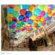 ニッシン *~*∥の画像