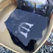 ゑびの画像
