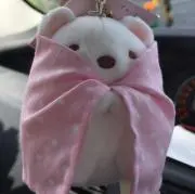 うさうさの画像
