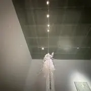 みの画像