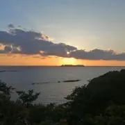 neozannmai
